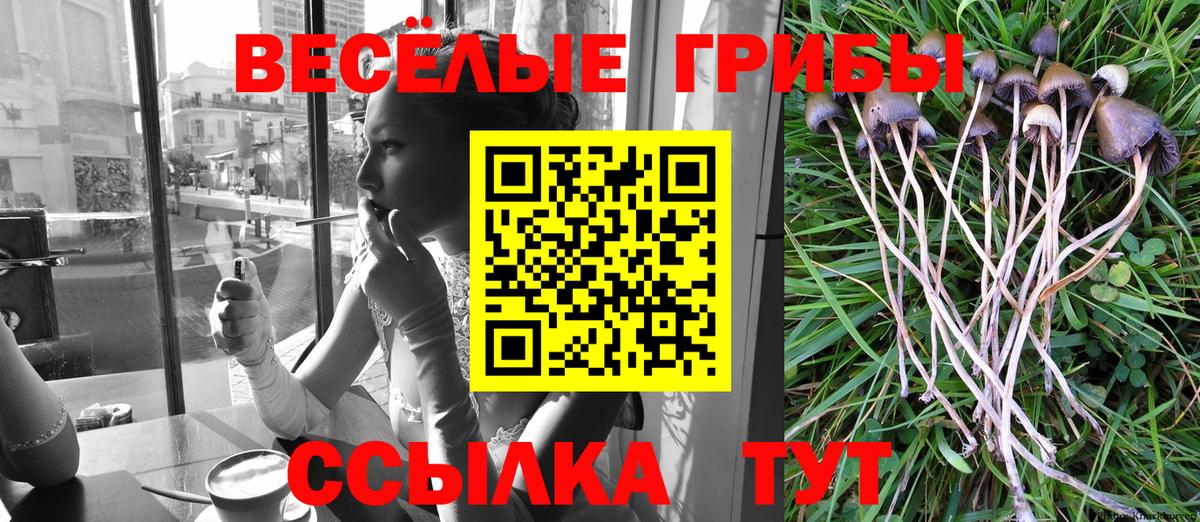 Красноармейск  Галлюциногенные грибы MAGIC MUSHROOMS  сколько стоит  Вход с VPN 